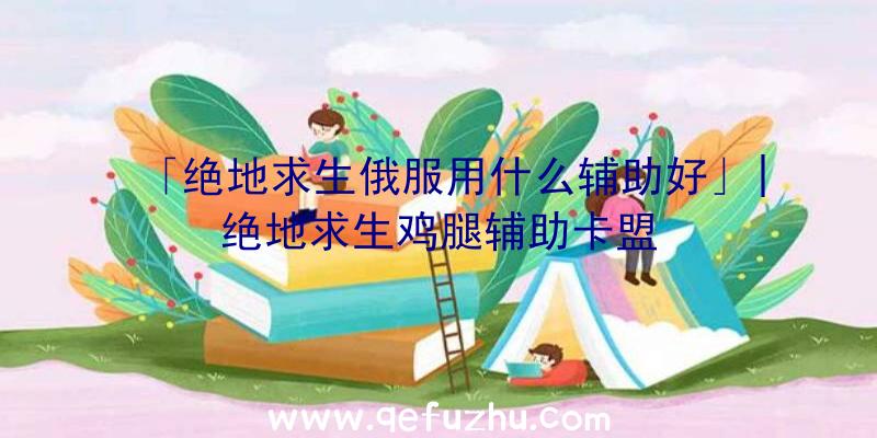 「绝地求生俄服用什么辅助好」|绝地求生鸡腿辅助卡盟